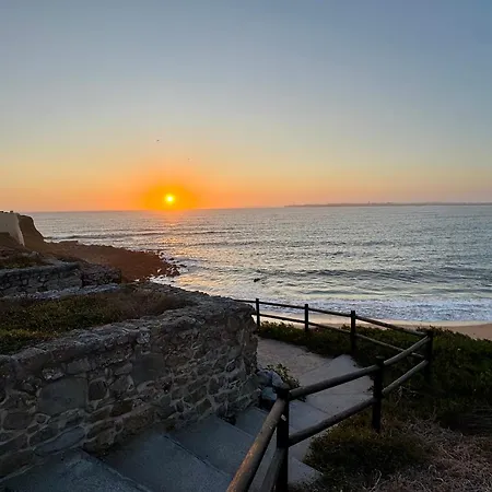 בית הארחה Silver Seahorse Garden Retreat