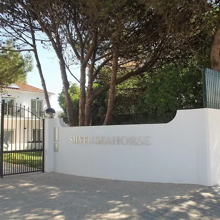 Silver Seahorse Garden Retreat 4*