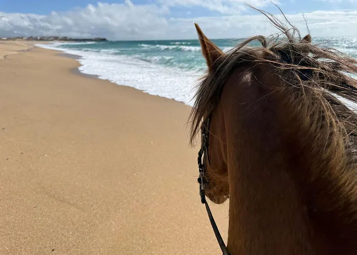 Silver Seahorse Garden Retreat ゲストハウス