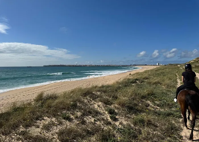 Silver Seahorse Garden Retreat