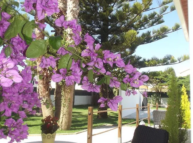 Silver Seahorse Garden Retreat アトウギア・ダ・バレイア